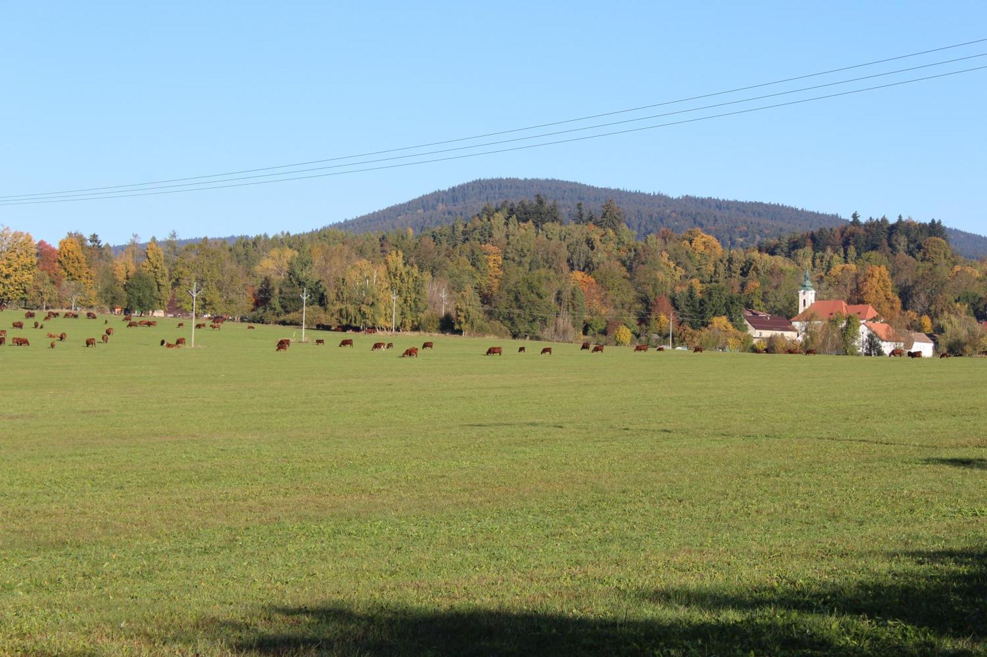 Ubytování Praschlhaus Horni Plana Exterior foto