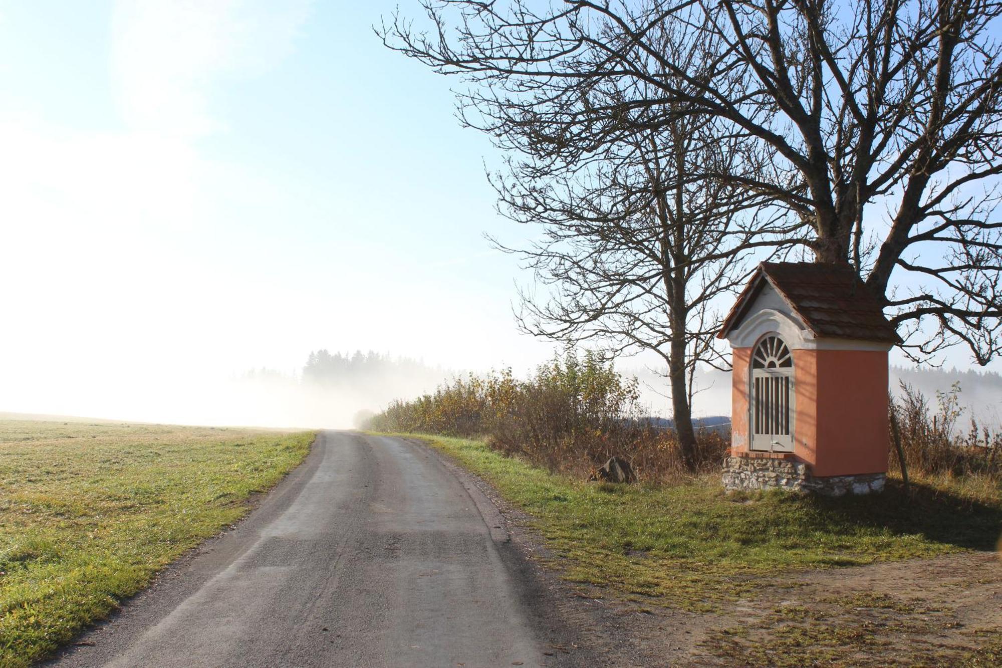 Ubytování Praschlhaus Horni Plana Exterior foto