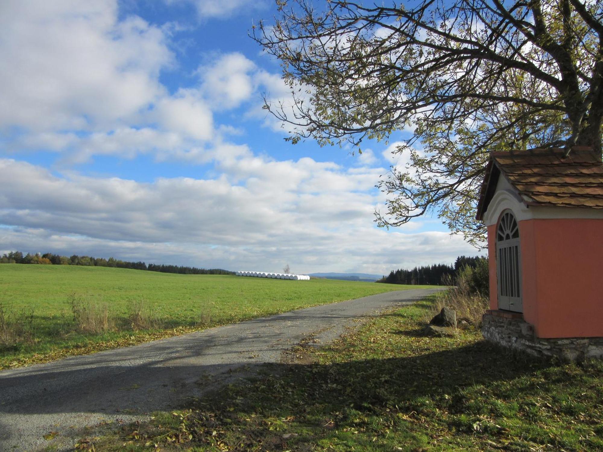 Ubytování Praschlhaus Horni Plana Exterior foto