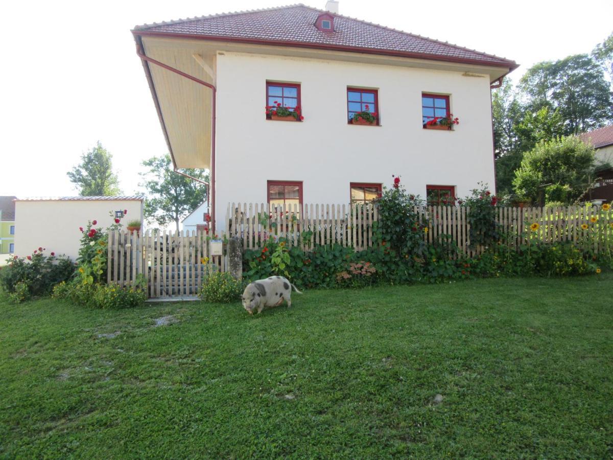 Ubytování Praschlhaus Horni Plana Exterior foto